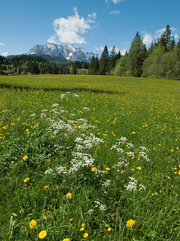 LandSüdtirol IMG_2573 als Smart-Objekt-1 Kopie.jpg - Wir waren ja schon sehr oft in Bayern., aber das Frühjahr ist wohl die schönste Reisezeit